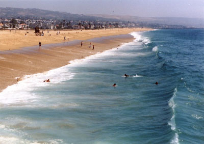 New Port Ca