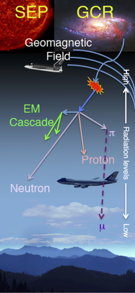 Did you know we receive anywhere from 20 to 40 mrem each year from cosmic radiation?